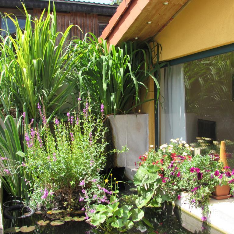 Ferienwohnung "Eifelstueffje" Mechernich Room photo