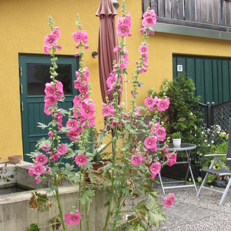 Ferienwohnung "Eifelstueffje" Mechernich Exterior photo