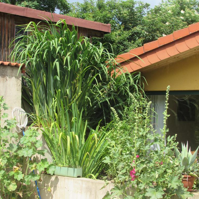 Ferienwohnung "Eifelstueffje" Mechernich Exterior photo